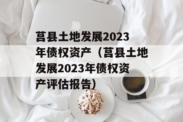 莒县土地发展2023年债权资产（莒县土地发展2023年债权资产评估报告）