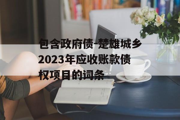 包含政府债-楚雄城乡2023年应收账款债权项目的词条