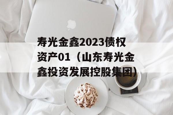 寿光金鑫2023债权资产01（山东寿光金鑫投资发展控股集团）