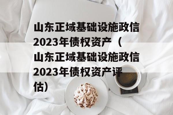 山东正域基础设施政信2023年债权资产（山东正域基础设施政信2023年债权资产评估）