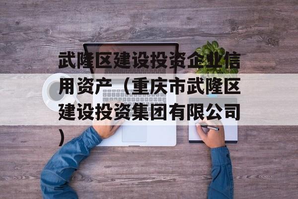 武隆区建设投资企业信用资产（重庆市武隆区建设投资集团有限公司）