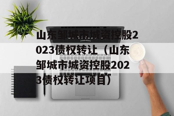 山东邹城市城资控股2023债权转让（山东邹城市城资控股2023债权转让项目）