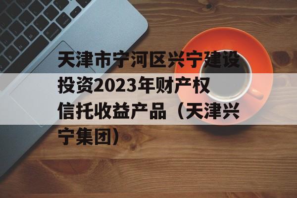 天津市宁河区兴宁建设投资2023年财产权信托收益产品（天津兴宁集团）