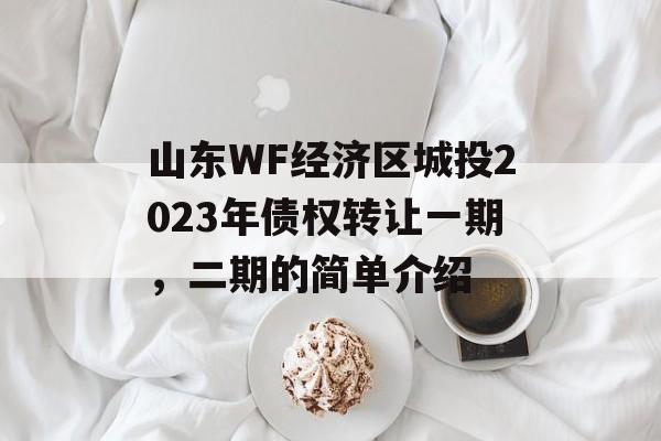 山东WF经济区城投2023年债权转让一期，二期的简单介绍