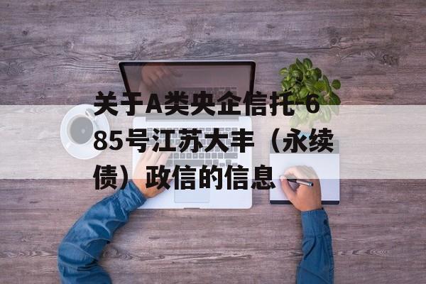 关于A类央企信托-685号江苏大丰（永续债）政信的信息