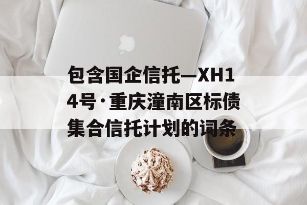 包含国企信托—XH14号·重庆潼南区标债集合信托计划的词条