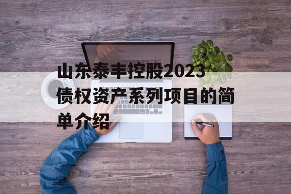 山东泰丰控股2023债权资产系列项目的简单介绍