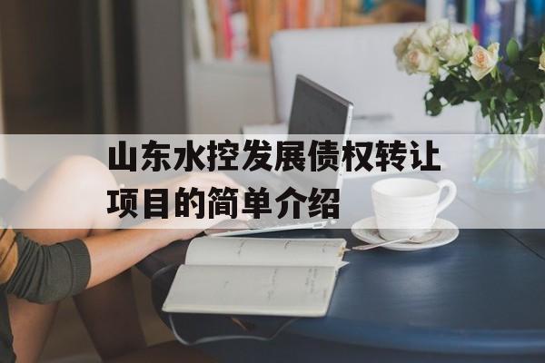 山东水控发展债权转让项目的简单介绍