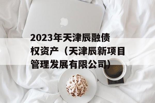 2023年天津辰融债权资产（天津辰新项目管理发展有限公司）