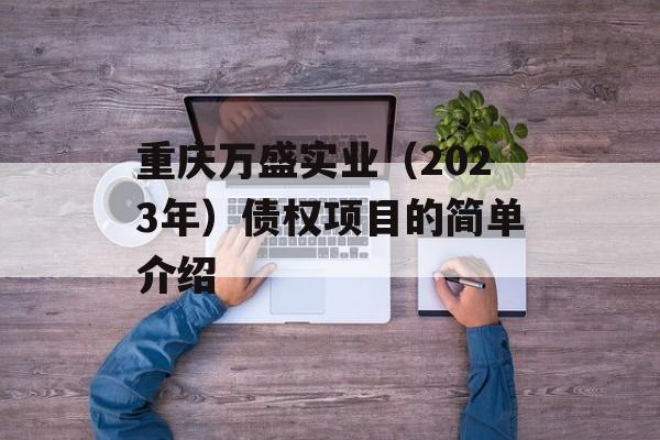 重庆万盛实业（2023年）债权项目的简单介绍