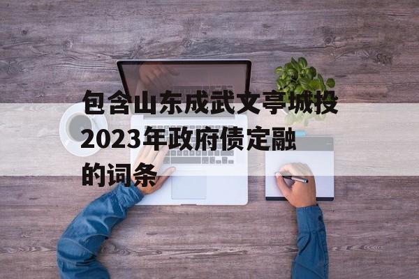 包含山东成武文亭城投2023年政府债定融的词条