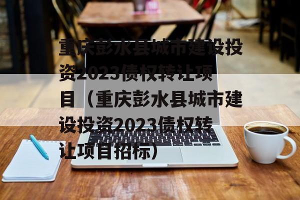 重庆彭水县城市建设投资2023债权转让项目（重庆彭水县城市建设投资2023债权转让项目招标）