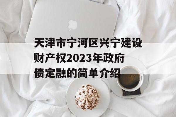 天津市宁河区兴宁建设财产权2023年政府债定融的简单介绍