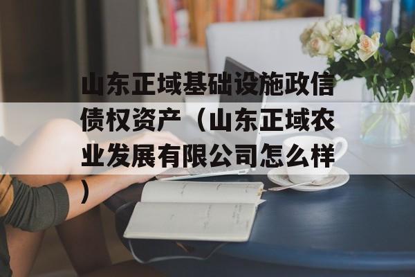 山东正域基础设施政信债权资产（山东正域农业发展有限公司怎么样）