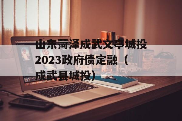 山东菏泽成武文亭城投2023政府债定融（成武县城投）