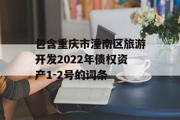 包含重庆市潼南区旅游开发2022年债权资产1-2号的词条