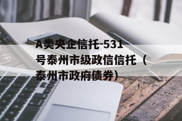 A类央企信托-531号泰州市级政信信托（泰州市政府债券）