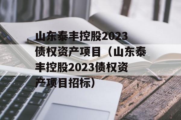 山东泰丰控股2023债权资产项目（山东泰丰控股2023债权资产项目招标）