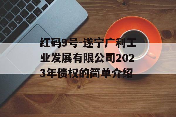 红码9号-遂宁广利工业发展有限公司2023年债权的简单介绍