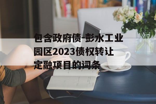 包含政府债-彭水工业园区2023债权转让定融项目的词条