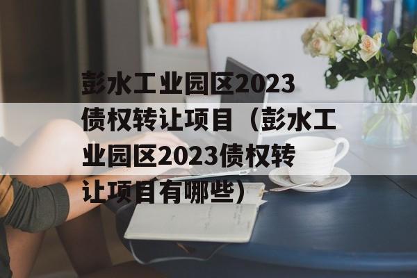 彭水工业园区2023债权转让项目（彭水工业园区2023债权转让项目有哪些）