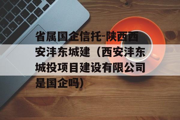 省属国企信托-陕西西安沣东城建（西安沣东城投项目建设有限公司是国企吗）