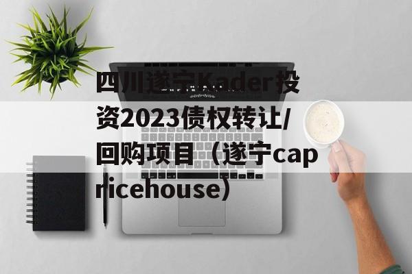 四川遂宁Kader投资2023债权转让/回购项目（遂宁capricehouse）