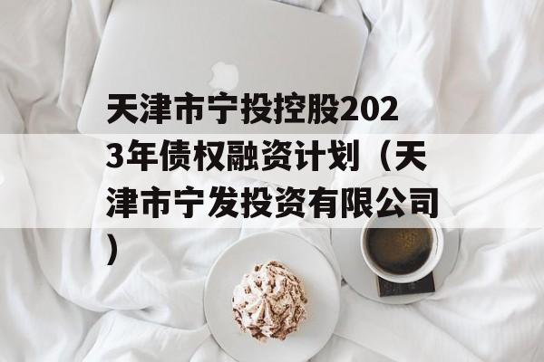 天津市宁投控股2023年债权融资计划（天津市宁发投资有限公司）