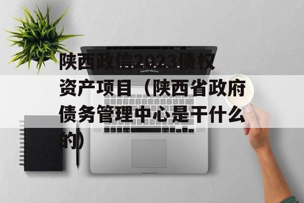 陕西政信2023债权资产项目（陕西省政府债务管理中心是干什么的）