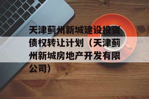 天津蓟州新城建设投资债权转让计划（天津蓟州新城房地产开发有限公司）