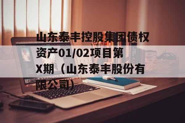 山东泰丰控股集团债权资产01/02项目第X期（山东泰丰股份有限公司）