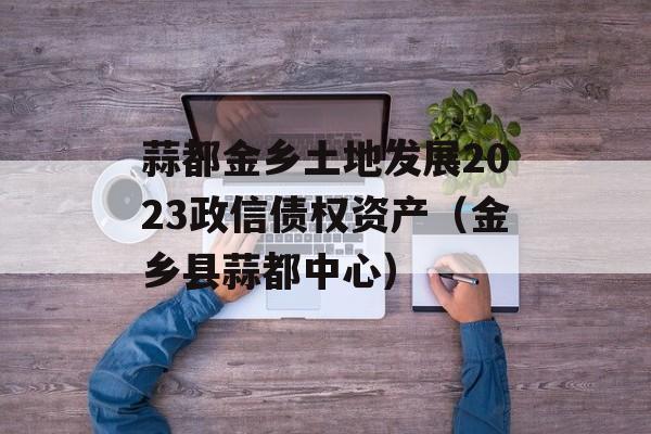 蒜都金乡土地发展2023政信债权资产（金乡县蒜都中心）