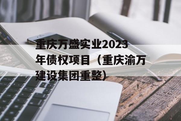 重庆万盛实业2023年债权项目（重庆渝万建设集团重整）