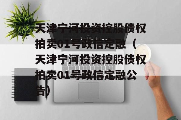 天津宁河投资控股债权拍卖01号政信定融（天津宁河投资控股债权拍卖01号政信定融公告）