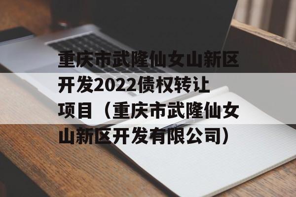 重庆市武隆仙女山新区开发2022债权转让项目（重庆市武隆仙女山新区开发有限公司）