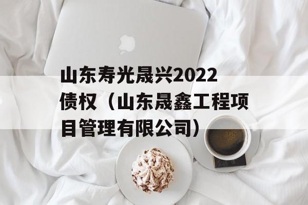 山东寿光晟兴2022债权（山东晟鑫工程项目管理有限公司）