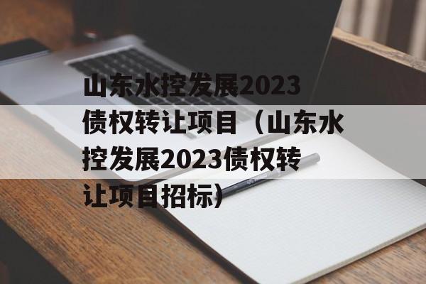 山东水控发展2023债权转让项目（山东水控发展2023债权转让项目招标）