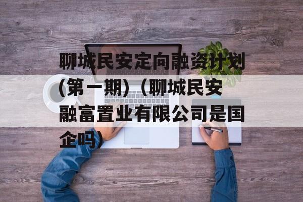 聊城民安定向融资计划(第一期)（聊城民安融富置业有限公司是国企吗）