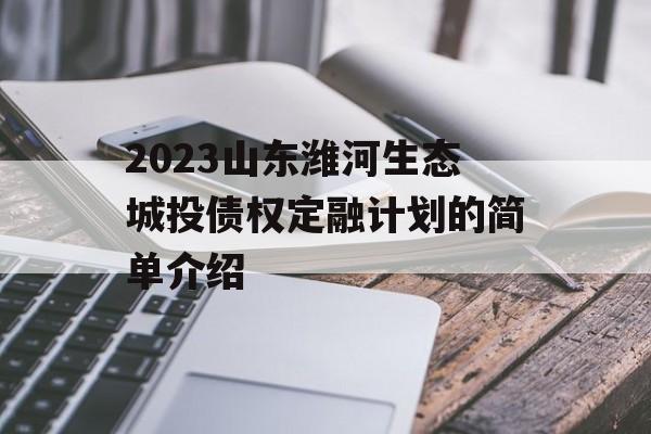 2023山东潍河生态城投债权定融计划的简单介绍