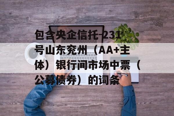 包含央企信托-231号山东兖州（AA+主体）银行间市场中票（公募债券）的词条