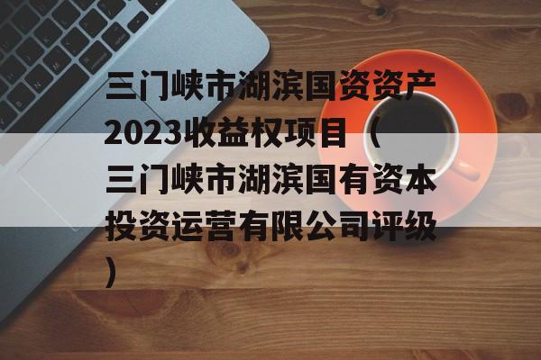 三门峡市湖滨国资资产2023收益权项目（三门峡市湖滨国有资本投资运营有限公司评级）