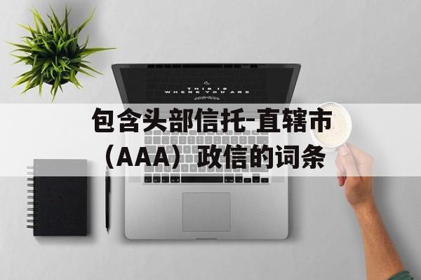 包含头部信托-直辖市（AAA）政信的词条