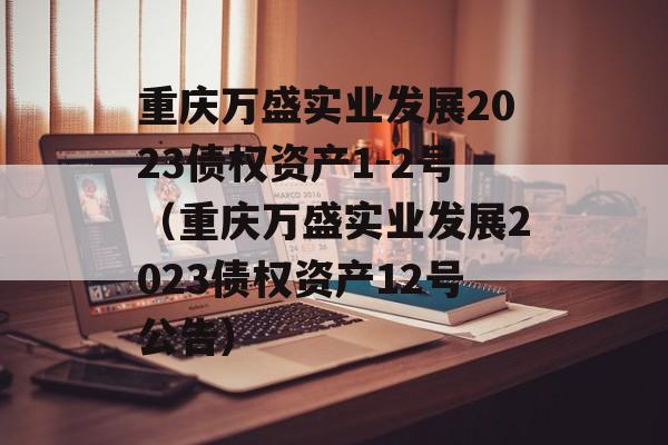 重庆万盛实业发展2023债权资产1-2号（重庆万盛实业发展2023债权资产12号公告）