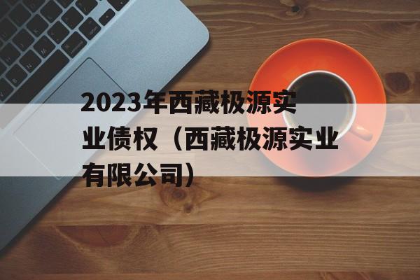 2023年西藏极源实业债权（西藏极源实业有限公司）