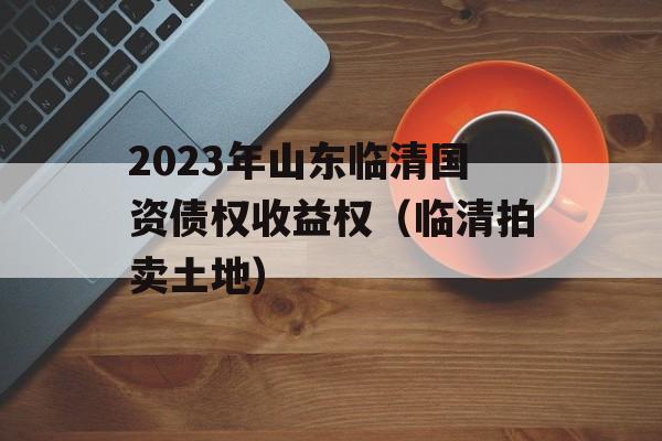 2023年山东临清国资债权收益权（临清拍卖土地）