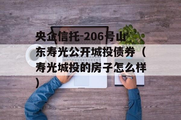 央企信托-206号山东寿光公开城投债券（寿光城投的房子怎么样）