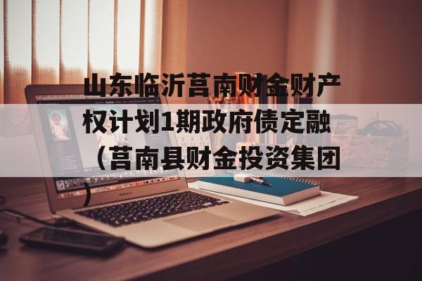 山东临沂莒南财金财产权计划1期政府债定融（莒南县财金投资集团）