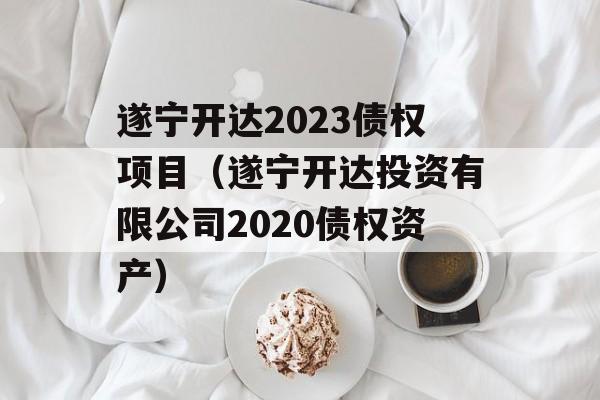 遂宁开达2023债权项目（遂宁开达投资有限公司2020债权资产）