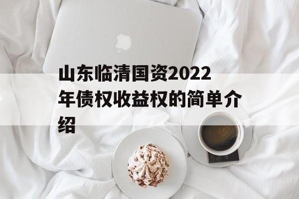 山东临清国资2022年债权收益权的简单介绍