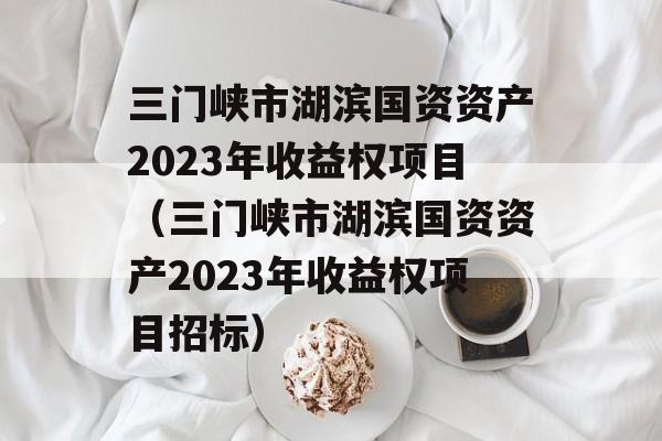 三门峡市湖滨国资资产2023年收益权项目（三门峡市湖滨国资资产2023年收益权项目招标）